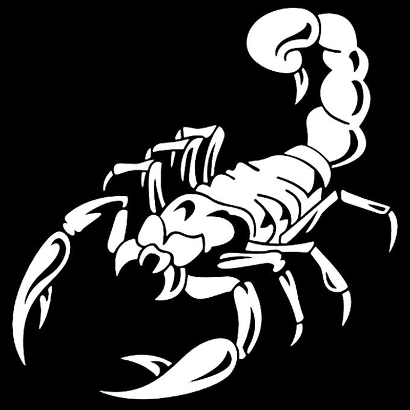 Car Decoration 3D Scorpion Decal Sticker Cool Vinyl Sticker, White 40Cm
