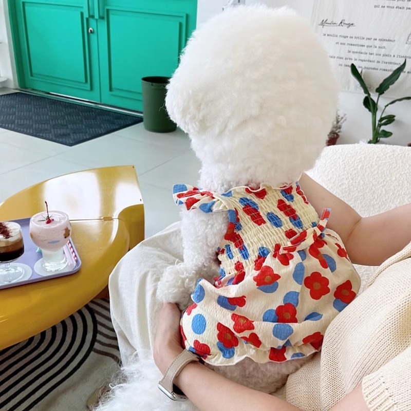 Robe d'été à fleurs pour chien, vêtements de princesse mignons pour chat et chien, Chihuahua Frnench bouledogue Bichon, Costume pour chien, jupe pour animaux de compagnie