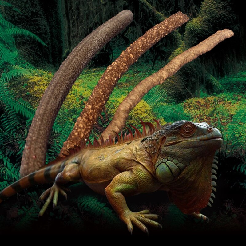 1.8M Flexibele Wijnstokken Buigbare Jungle Climber Reptiel Dierbenodigdheden Habitat Terrarium Decor