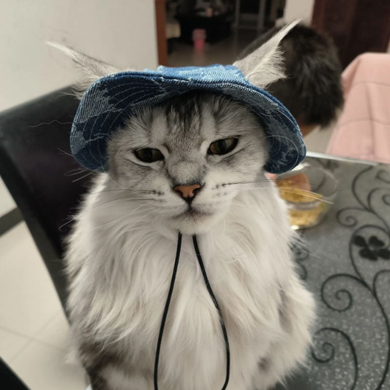 Pet Hat Cat Bucket Hat Dog Sun Hat Pet Accessories Suitable for Small and Medium Dogs and Cats