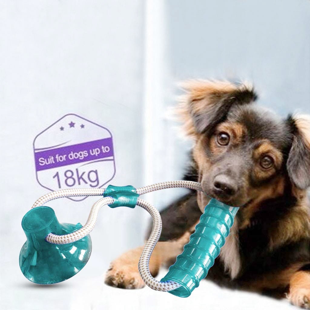 Bijten Huisdier Speelgoed Multifunctionele Huisdier Molaire Speelgoed Schoonmaken Tanden Met Zuignap Veilig Voor Hond Puppy #30
