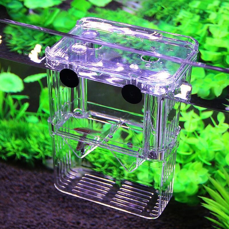 Caja de cría de peces para acuario, tanque de peces para mascotas, Guppy, cría doble, criadero, divisiones, pecera, casa para reptiles y tortugas