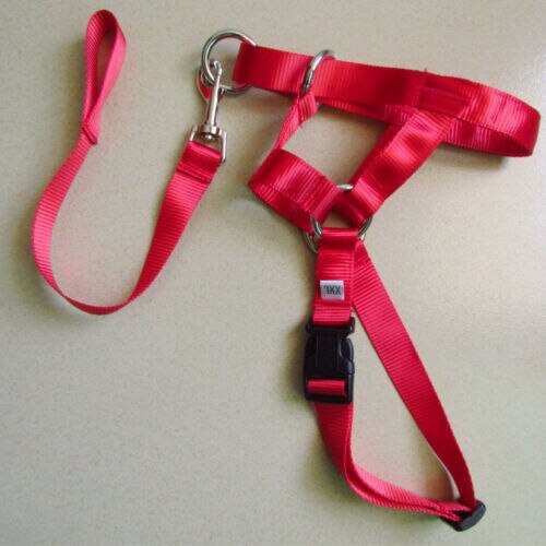 Dogalter Hond Halter Halti Training Hoofd Kraag Gentle Leader Harnas Nylon: Rood / XXL