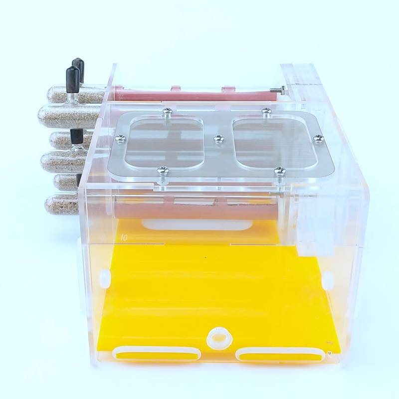 Nido De Hormigas Mini De Acrílico Transparente – Comedero Y Zona De Alimentación – Kit Educativo Para Observación Infantil – Regalo Científico