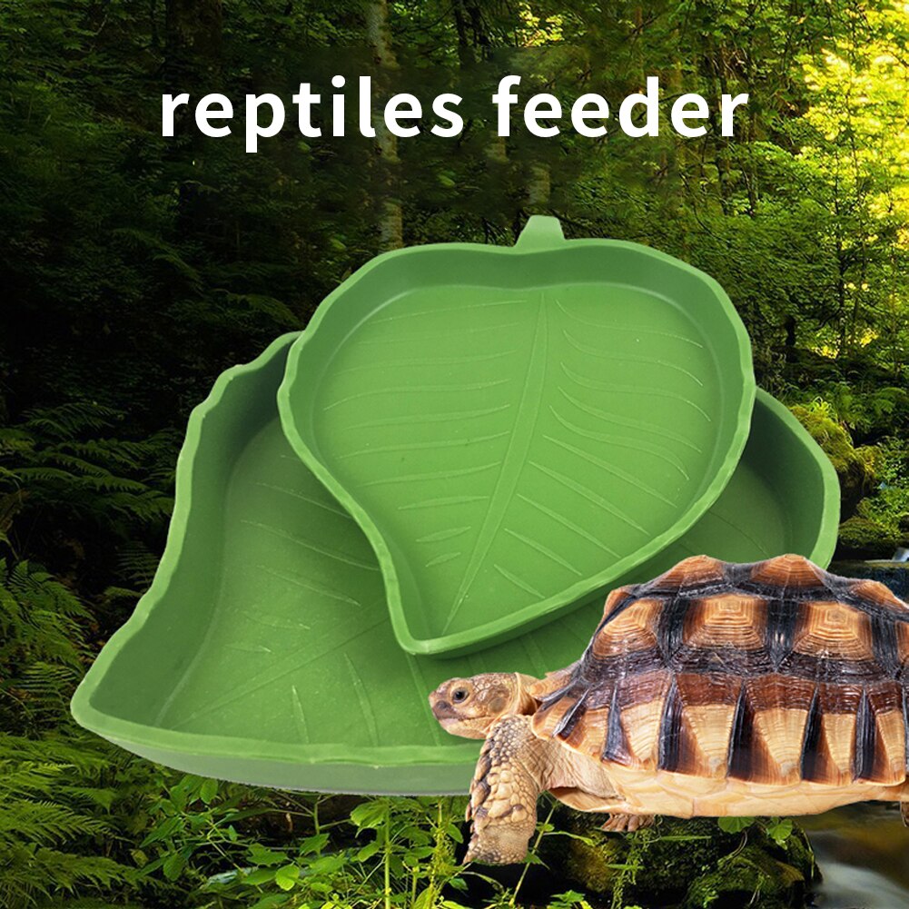 Tortuga serpiente, lagarto de la fuente de agua de alimentación de la cuenca forma de hoja, suministros para mascotas, comida Gecko curva de borde de plástico Reptiles alimentador