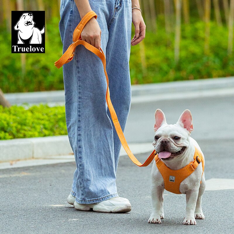 Truelove-Correa de cuerda ecológica para perro, correa de seguridad reciclada de liberación rápida para mascotas pequeñas y medianas, transpirable, para entrenamiento de perros y caminar