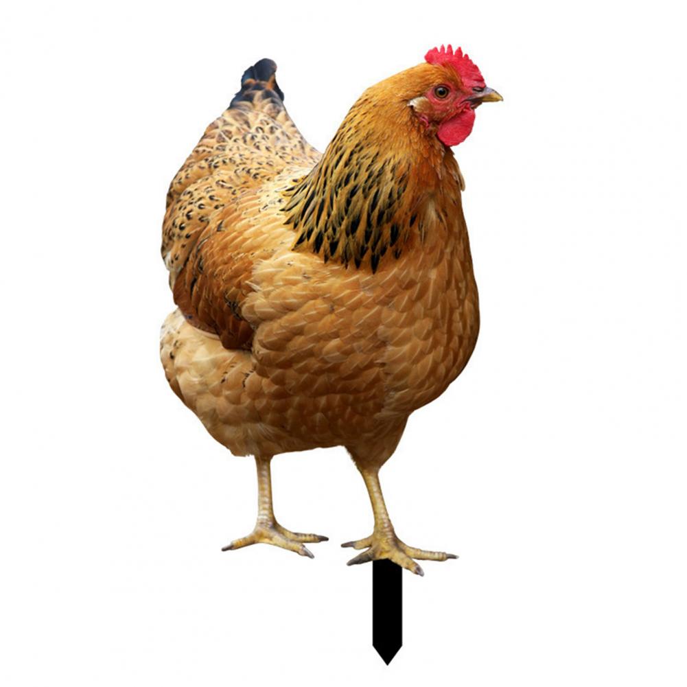 Ornamental Eco-friendly Rooster Decor Garden Statue Chicken for Garden: Orange
