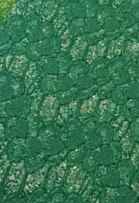 Green Series Faux Leather Glitter Cross Grain PVC Synthetic Leather A4 size DIY Earrings Bow Bags Material Vinyl Fabric,1Yc15812: 1104049015