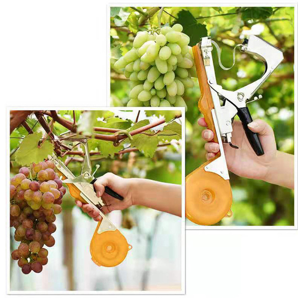 Garten Werkzeuge Strumpfband Pflanzen Pflanze Zweig Hand Binden Bindung Maschine Hackfleisch Gemüse Tapetool Tapener Bänder Heimat Garten