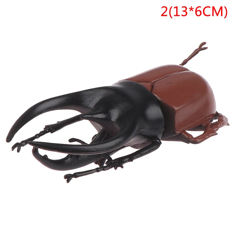 6 style 13cm simulation beetle Toys Special Lifelike Model Simulation insect Toy nursery teaching aids joke toys: 2