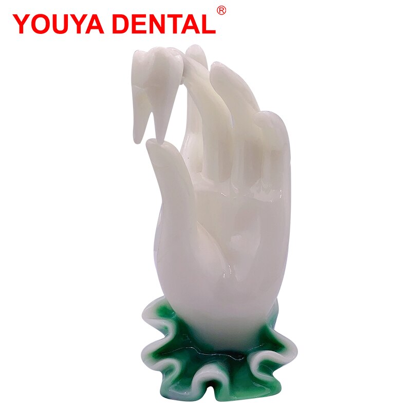 Dentistry Decoration Dentist Dental Figurines Tooth Jewelry Hand Sculpture Clinic Desktop Showcase Ornament Furnishings