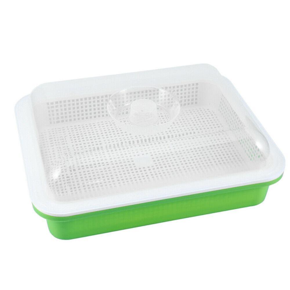 LeJoy Sprossengarten BPA-frei – Keimschale Mit Abdeckung & Gitterrost Für Alfalfa, Weizengras & Mehr, 33 X 26 Cm