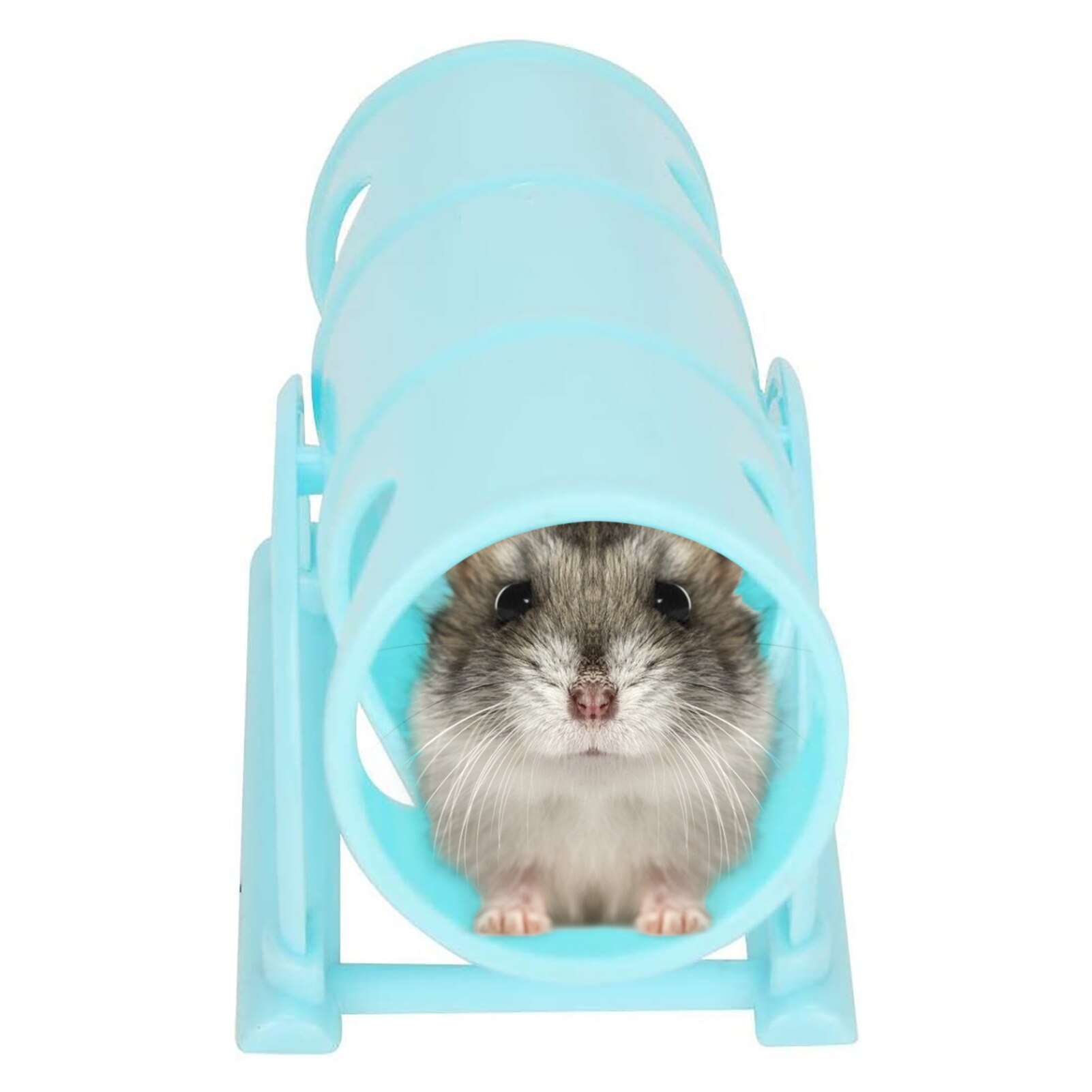 Plastic Board Grind De Tanden Voor Hamster Cavia Speelgoed Chew Toy Kleine Dier Speeltuin