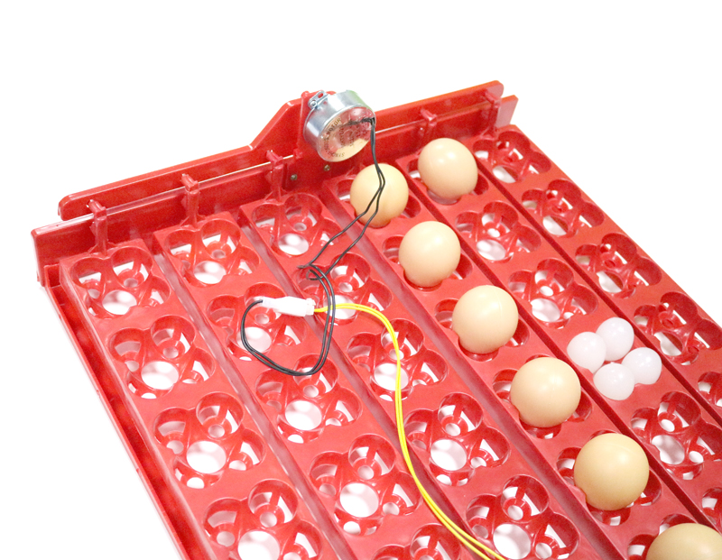 36 Eieren/144 Vogels Eieren Incubator Lade Kippen 1/240 Rpm Of 2.5 R/Min Eenden En Duiven En andere Vogels Papegaai Kwartel Gooes