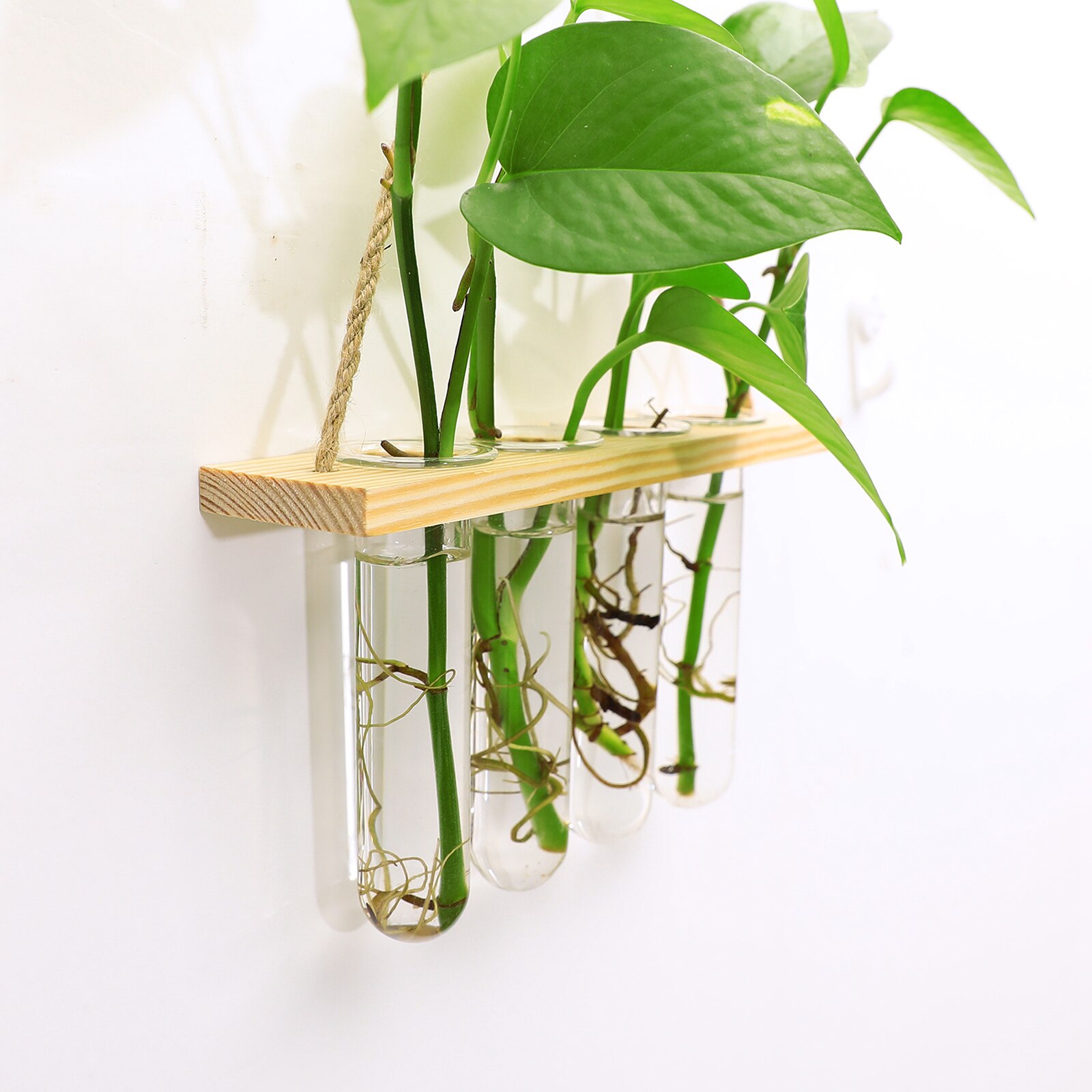 Glass Hanging Planter Terrarium Plants Wood Hanger Test Tube Vase Natural