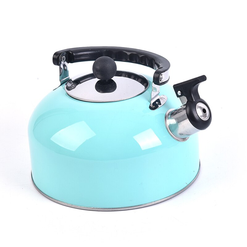 3L Sky Blue Whistling Kettle For Gas Stove Bouilloire 3L Stainless