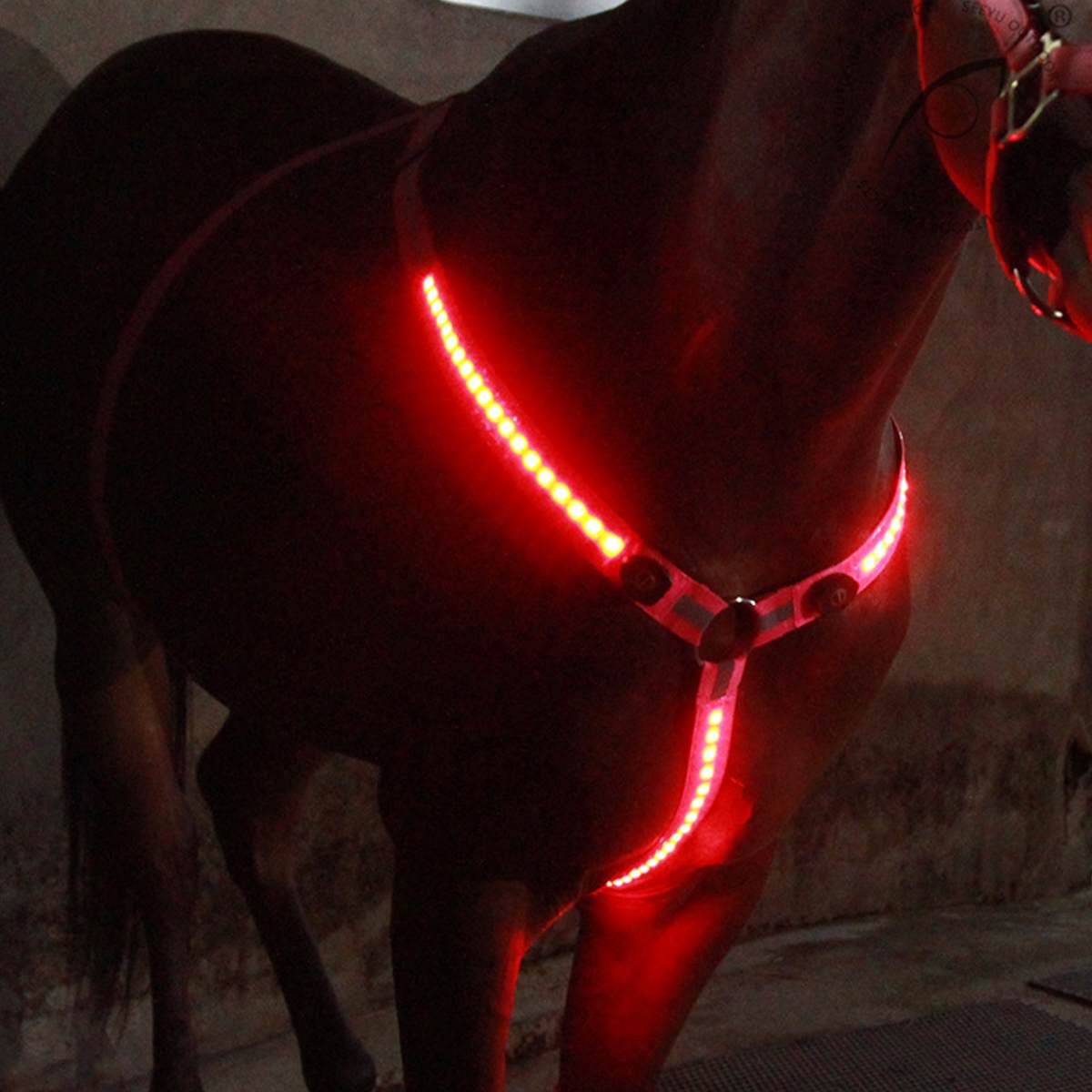 3 ledet sele hest brystplade nylon bryst krave bælte lys nat synlig sikker ridning udstyr bælte justerbar: Rød