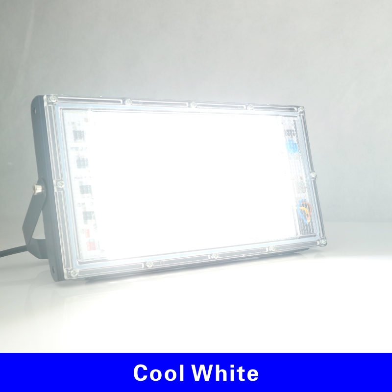 DSELCHUN-foco reflector Led para exteriores 100W, CA 220V 230V 240V, IP65, farola LED impermeable, iluminación de paisaje: Cool White