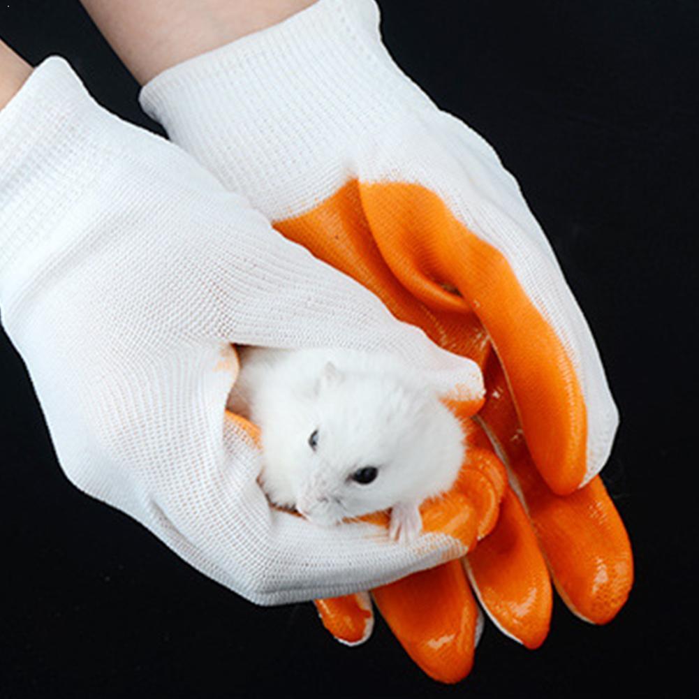 Kleine huisdieren bijtbestendige handschoenen onbreekbare handbeschermingshandschoenen varkens chinchilla's hamsters bijten konijnen cavia  x3 m 6