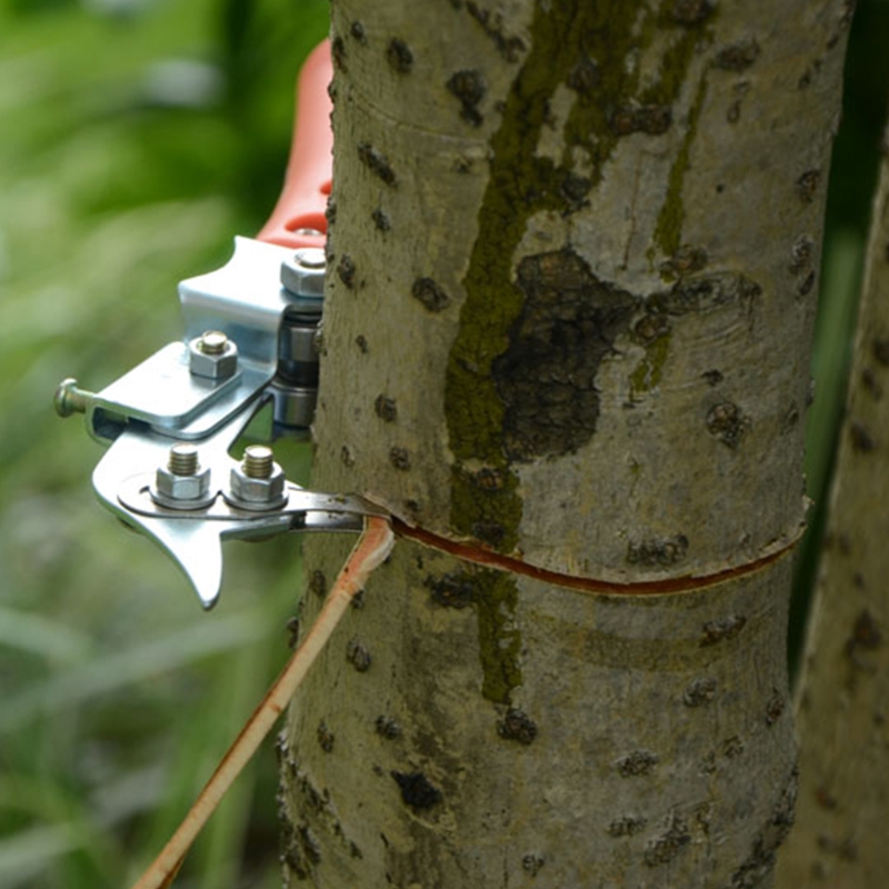 Tree Br-anch Cutter Fruit Tree Ring Cutter Hand Tools for Apple Trees and More G32A