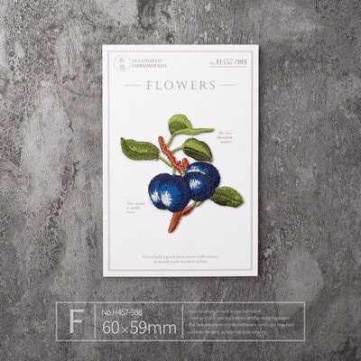 Middelgrote bloemenpatch badge patches geborduurde applicatie naaien strijkapplicatie kleding kledingstuk roos kleding accessoires: Type f