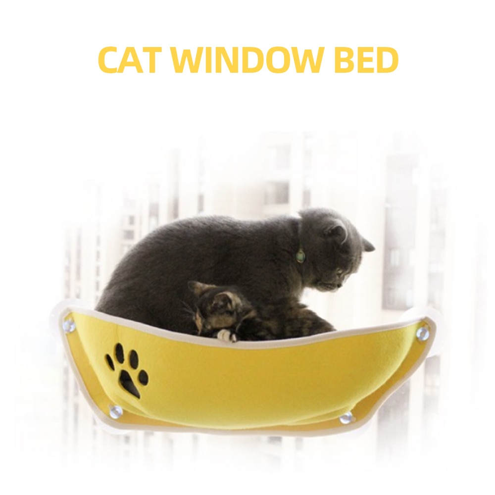 Gato mascota, ventana, cama, gato, ventana, percha, gato, ventana, asiento, Cama de Gato para gatos, descanso de casa, sol, pared, cama, jaula de hurón suave