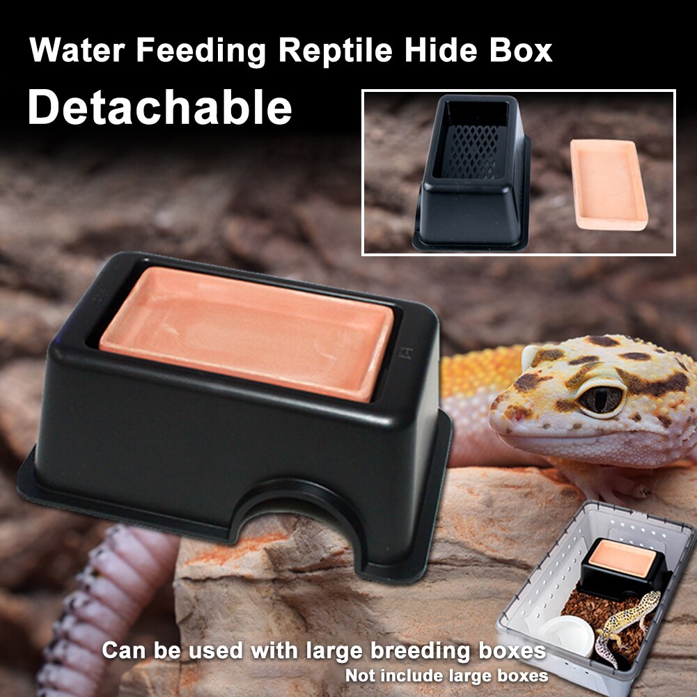 Spawning Cave Detachable Water Feeding Humidify Bowl Easy Clean