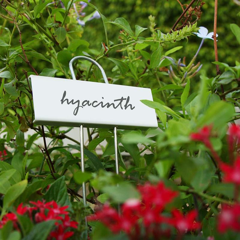 6pcs Metal Plant Label Flower Arrangement Sign Gardening Pot Labels Stainless Steel Placard for Garden Home Shop Balcony