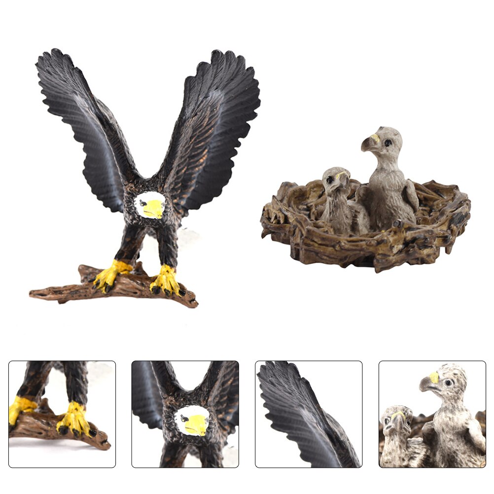 2Pcs Gesimuleerde Eagle Jong Eagle Speelgoed Kids Animal Model Onderwijs Speelgoed (2 Stijlen)