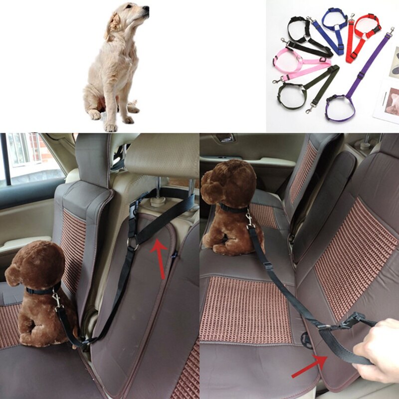 Universel praktisk hundekat kæledyrs sikkerhed justerbar bilsele selesnor bånd rejse klipsrem bly kæledyrs sikkerhedssele