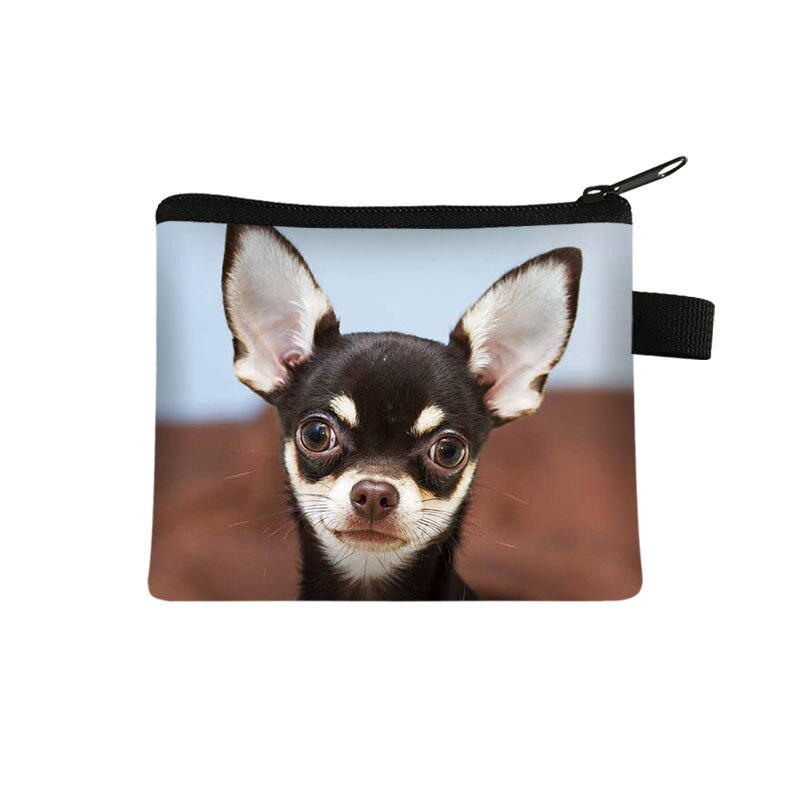 Cute Dog Chihuahua Mom Coin Purse Women Mini Wallet Lovely Dog Purses and Handbag Mini Lipstick Bags: lqbchihucw16