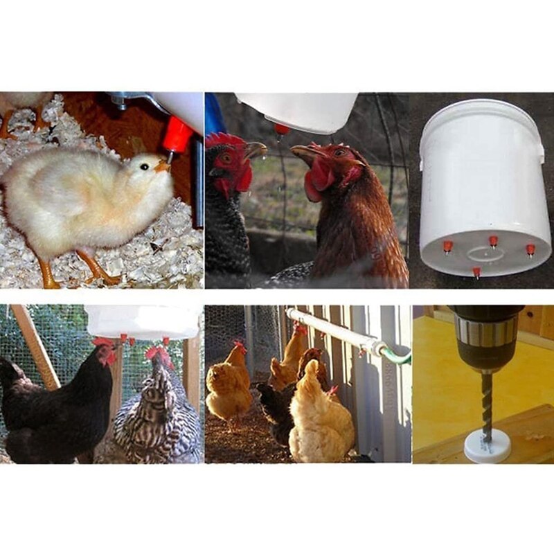 Bebedero de pezón para aves de corral, bebedero tipo resorte para aves con dispensador automático de agua, Boca de pollo, agua potable para aves, 50 Uds.