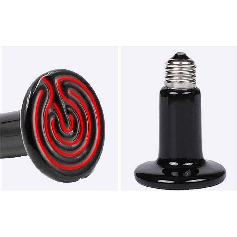 Lampe chauffante en verre 100W | 2 pièces, lampe chauffante par tache, blanc doux, éclat UVA, lampe chauffante pour ampoules