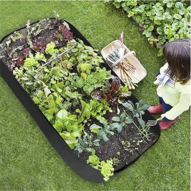 thumbnail image 2 of Grassroots Fabric Raised Garden Bed (2'x4') – Indoor/Outdoor Use For Flowers, Herbs & Vegetables, With Fittings 2 of 6