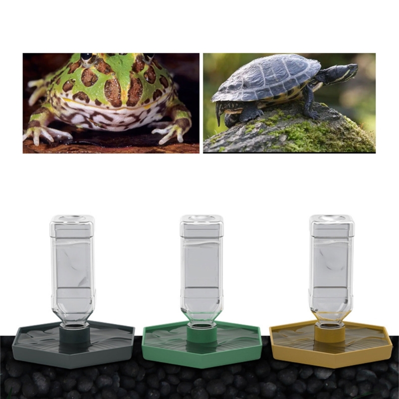 Bebedero automático para Reptiles, bebedero, bebedero, alimentador agua para anfibios 87HA