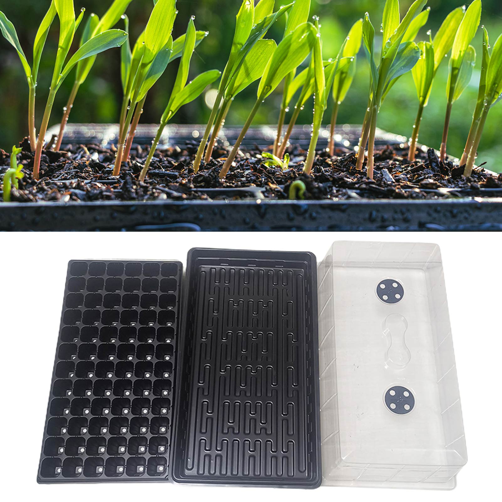 Caja para cultivo de semillas de jardín, semillero para vivero, bandeja para jardín de 72 agujeros