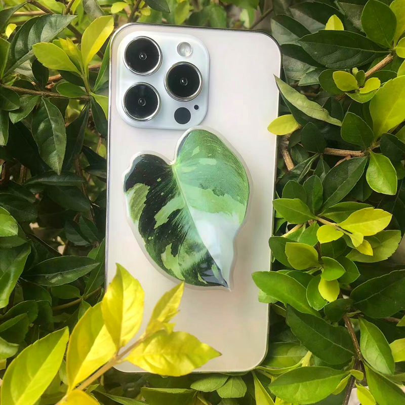 Griptok Bracket Socket Folding Grip Pretty Leaf Acrylic Phone Holder mobile phone stand simulation plant leaves: H004