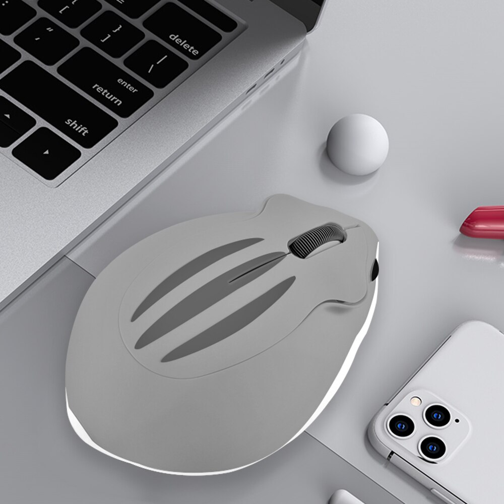 CHYI Mini Mouse Gamer Cartoon USB Wireless Optical Mause Ergonomic 3D Hamster PC Mice with Nut Mouse Pad For laptop: Gray