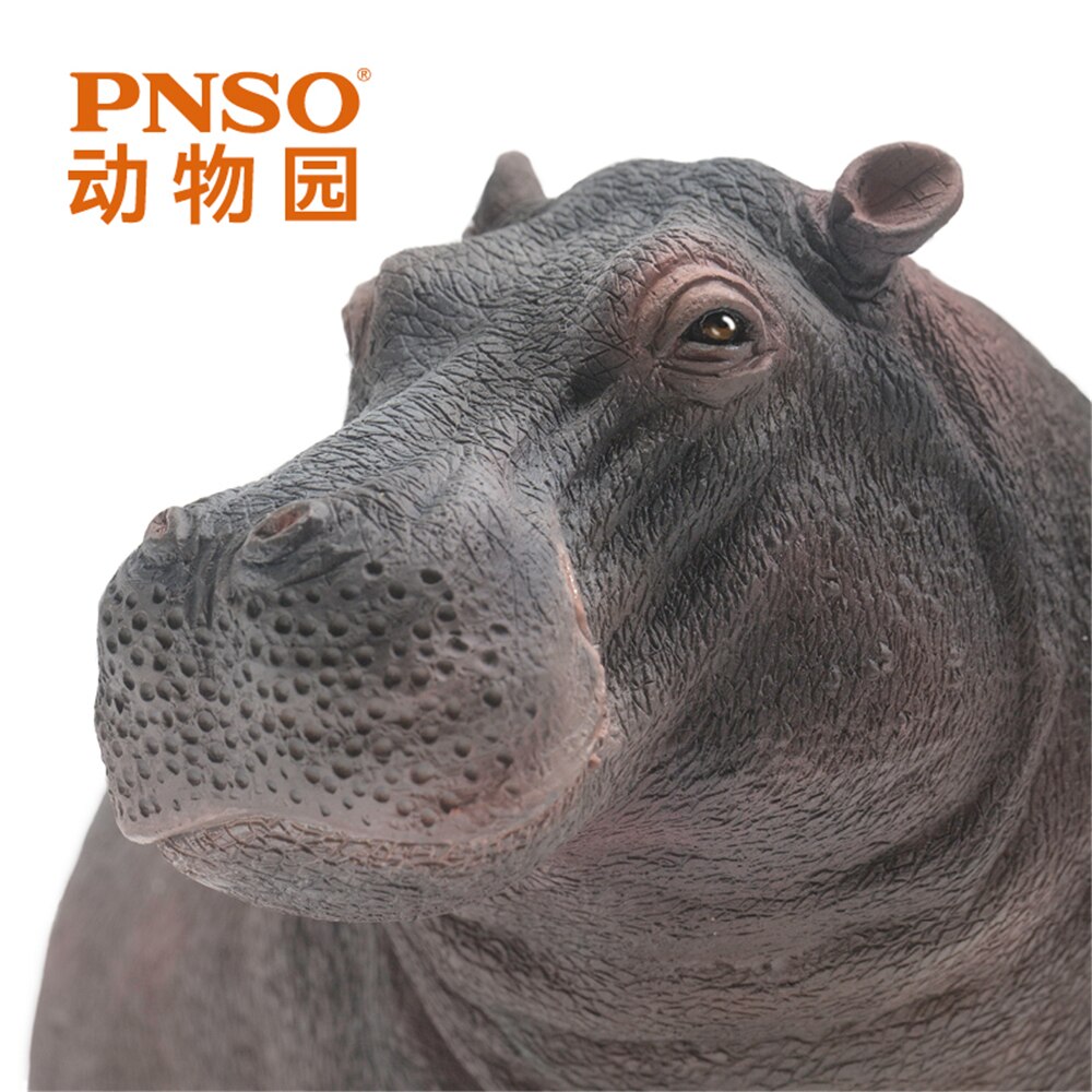 PNSO Hippopotamus Modell Hippo Hippopotamidae Tier Figur Desktop Dekoration Sammler Spielzeug