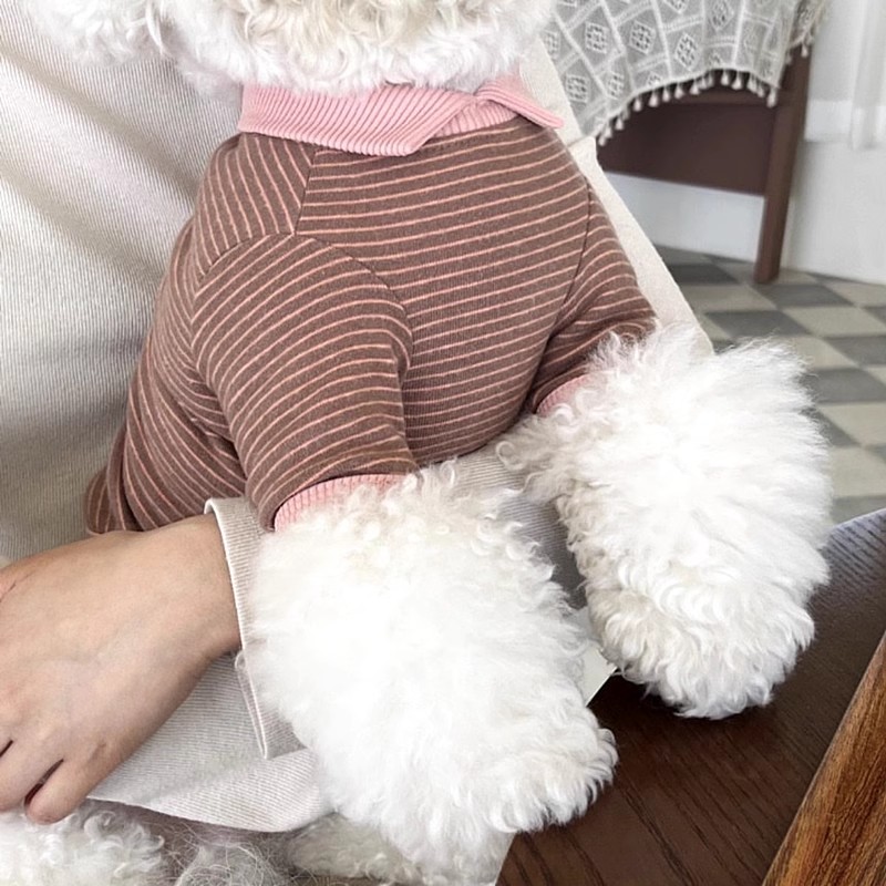 Vêtements pour chiens imprimés fraises, gilet rose pour animaux de compagnie, Costume pour chiot, Polo pour chien et chat, Chihuahua Bichon, T-Shirt mignon pour filles, pull pour chien: XS / green