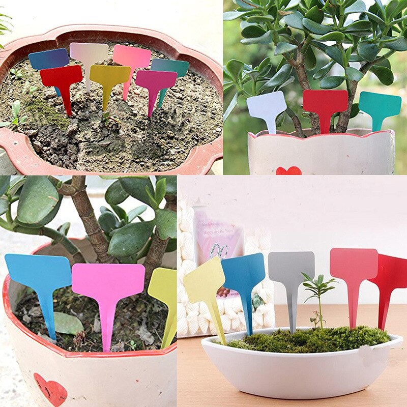 50 Pcs T-shaped Waterproof Plastic Plant Labels Tags Markers Garden Nursery Herbs Flowers Colorful Lables Garden Supplies