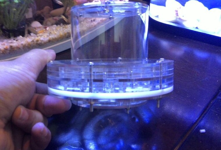 Boat UFO Shape Ant Nest Transparent Ant Workshop For Student Sientific Abservation DIY Accembling Insect Ant House Case Pet Cage