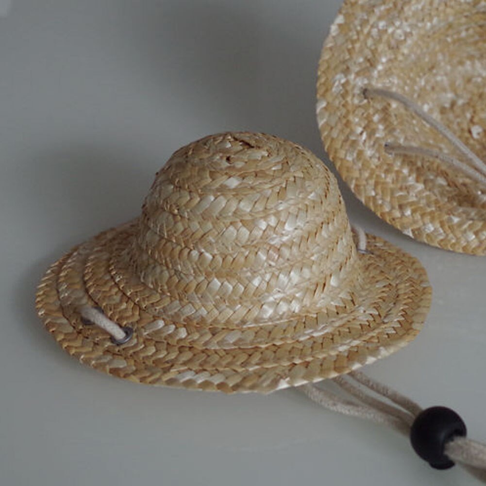 Chapeau de paille d'été 1 pièce | Animal domestique, chat Cool chapeau de paille, chapeaux soleil, fournitures pour chiots, accessoires pour animaux de compagnie, Style hawaïen, accessoires pour chiens chats, casquettes