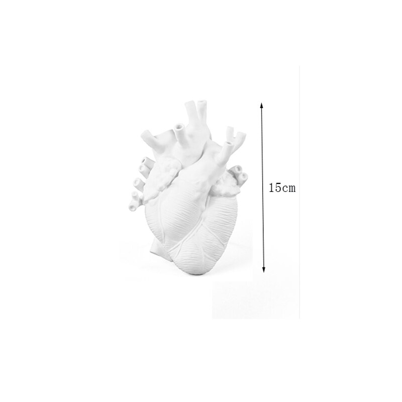 Anatomisches Herz bilden Blume Vase nordisch Stil Blume Topf Getrocknete Vasen Skulptur Schreibtisch Blumentopf für Wohnkultur Ornament: Weiß S