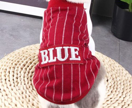 Veste pour chat vêtements pour chat: Rouge / XXL