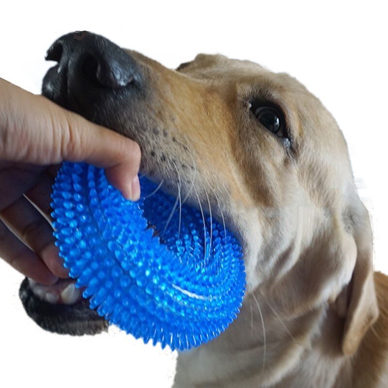 Funny Chew Toy for Golden Retriever Large Dogs Training Thorn Circle Ring Small Dog Toys Sound Interactive Pet Toys