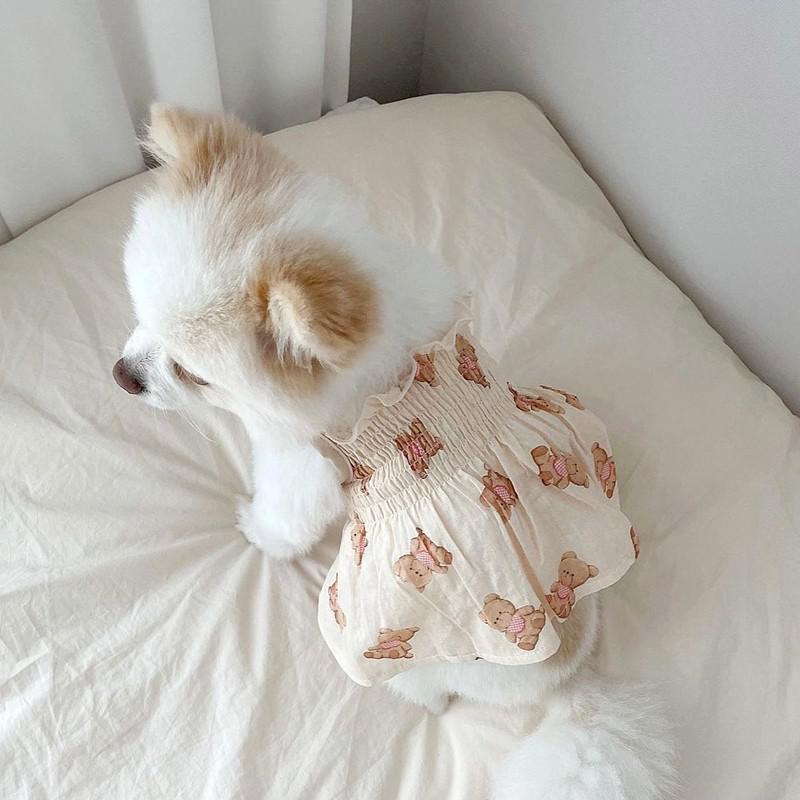 Sommer Haustier Hunde Kleid niedlich Bär Muster Hunde Kleidung Baumwolle strecken Welpe Rock Pro klein Hunde Mädchen Paare Kleid Chihuahua Mops: Beige / S