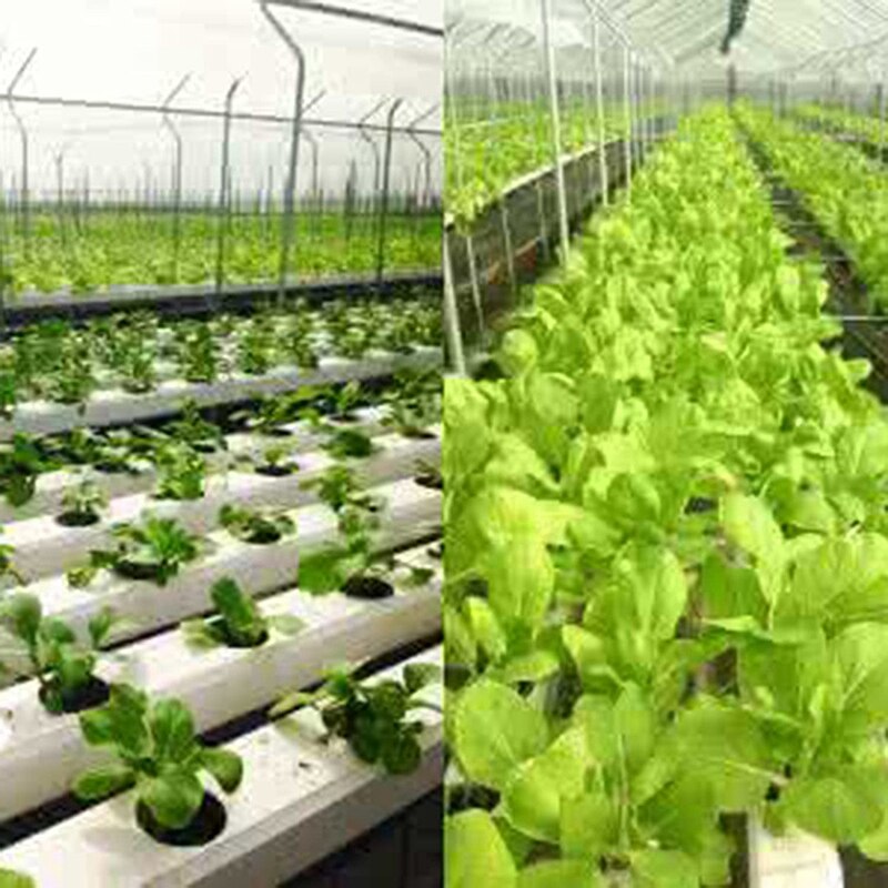 100 stk sort plast slisset netting plantekopper potter bøttekurv for hydroponi/akvaponikk/orkideer 70mm