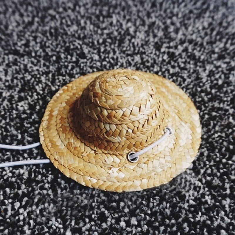 1pc utomhus hund hatt mössa husdjur djur tillbehör pomeranian casquettes petits chien pet hatt för hund mössor roliga hattar tillbehör: Default Title