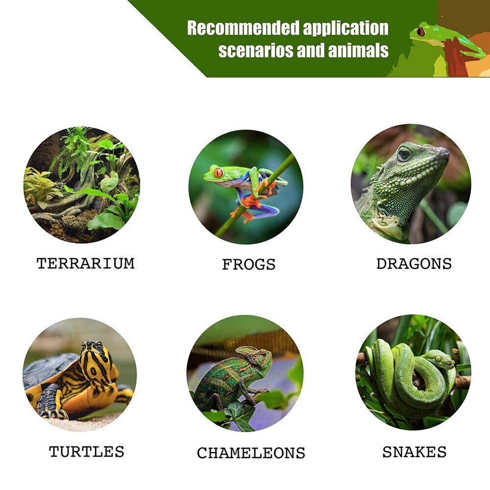 Sistema di nebulizzazione per rettili terrario signore per camaleonte tartaruga lucertola umidificatore foresta pluviale serbatoio spray sistema di irrigazione interna